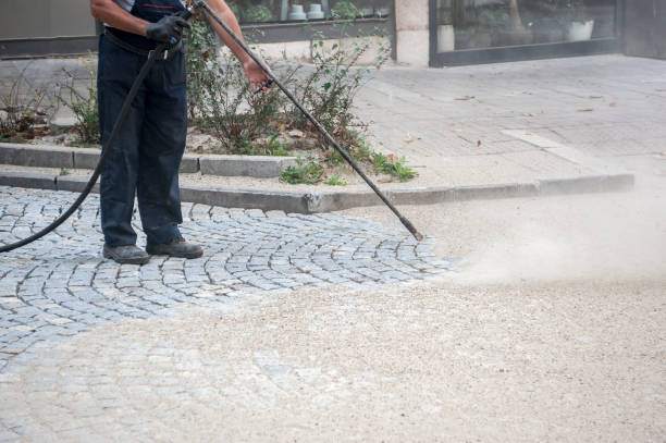 Best Roof Cleaning and Mildew Removal in Muskego, WI